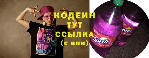 спайс Корсаков