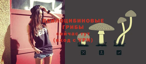 спайс Корсаков