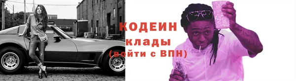 спайс Корсаков