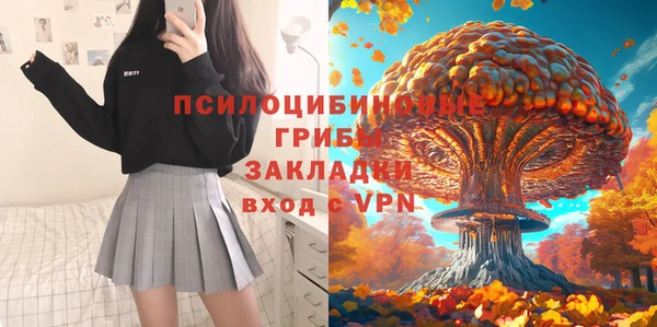 дурь Коряжма