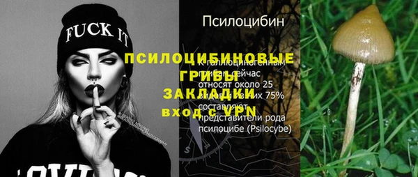 спайс Корсаков