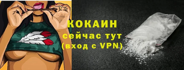 дурь Коряжма