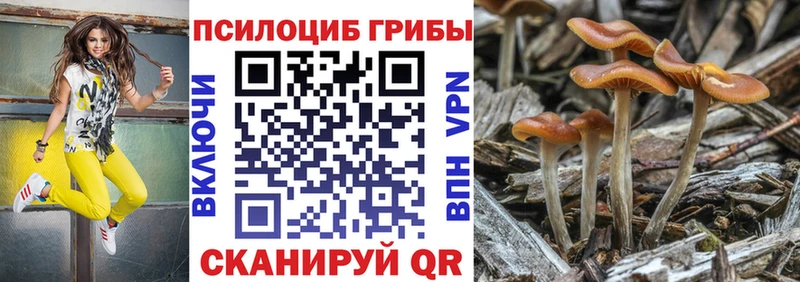 Купить закладки  Мценск  Псилоцибиновые грибы GOLDEN TEACHER 